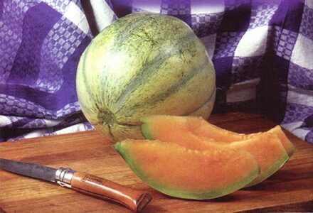 Sweet Success With the Cantaloupe Melon Image